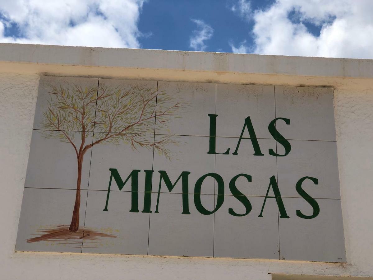 Las Mimosas C Puerto del Carmen  Exterior foto